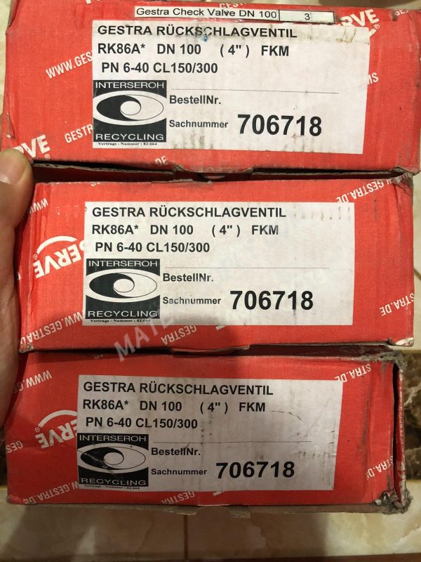 Gestra PK86A DN100 (4") 706718 Check valve - Image 2