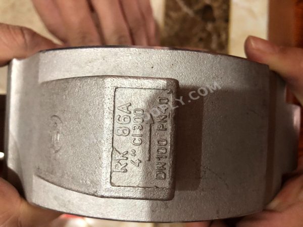 Gestra PK86A DN100 (4") 706718 Check valve - Image 4