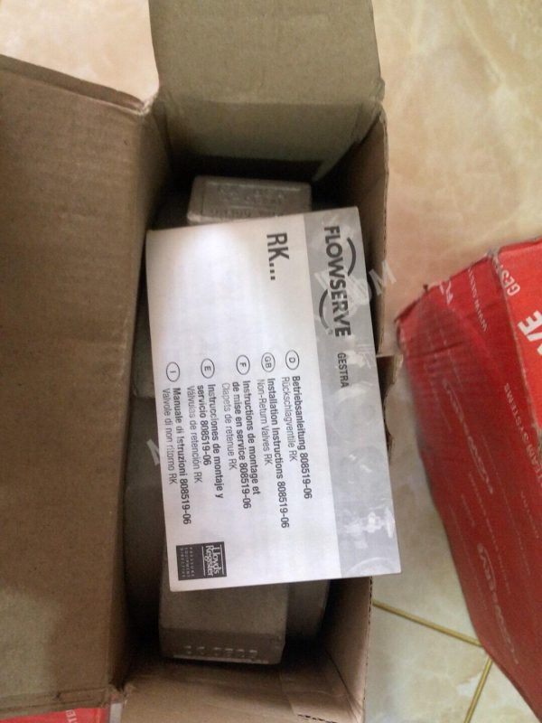 Gestra PK86A DN100 (4") 706718 Check valve - Image 5