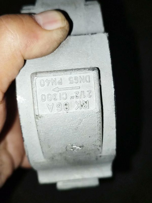 FLOWSERVE GESTRA RK86A check valve DN65 00706716 - Image 2