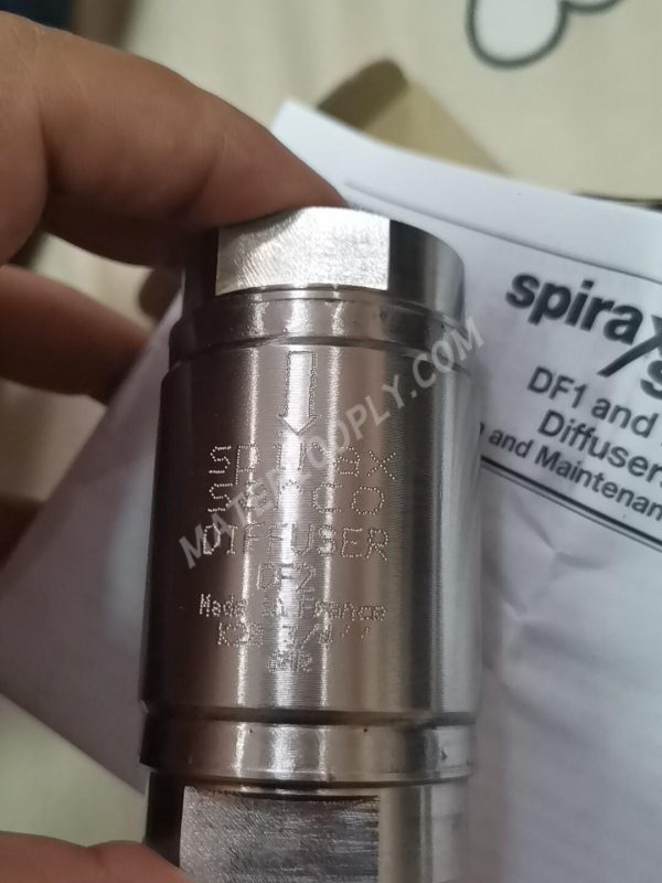 Spirax Sarco DF2 3/4" BSP Diffuser 1550700-0 - Made in France
