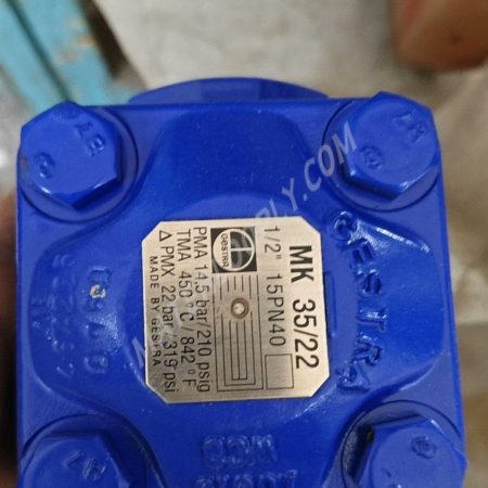 GESTRA One - Way Throttle Valve MK 35/22, 1/2" 15PN40
